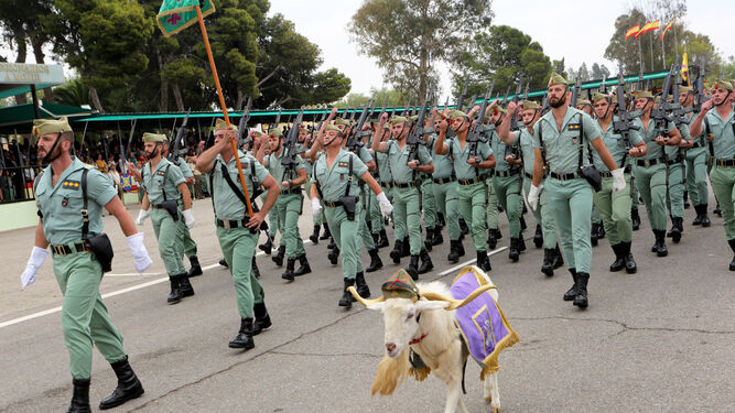 Todas las Unidades en formación participaron en el desfile al mando del coronel Bados, jefe del Tercio 3º.