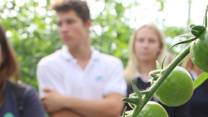 Tras la visita, Clisol Agro ofrece una degustación de hortalizas a los usuarios