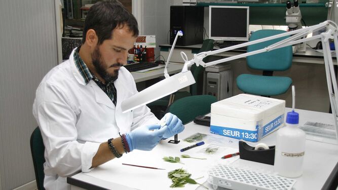 Investigador en uno de los laboratorios de la Universidad de Almería.