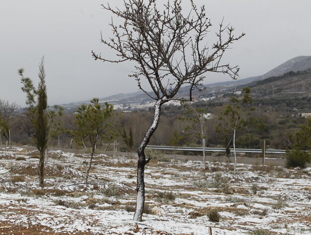 La nieve llega a la provincia de Almer&iacute;a