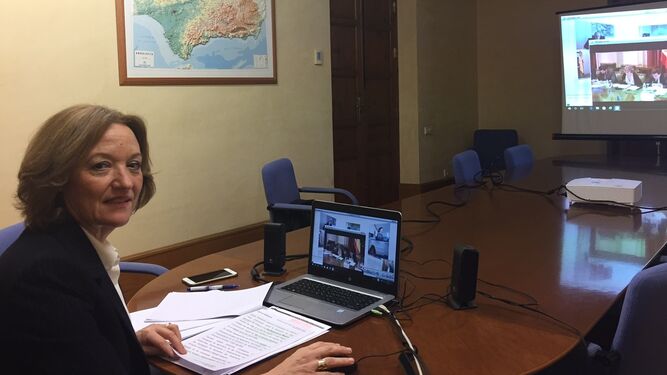 La consejera Carmen Ortiz asistió al Consejo Consultivo desde Almería, por videoconferencia.