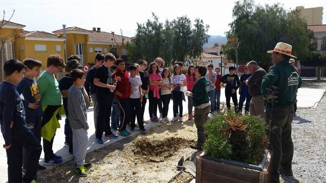 Escolares de Olula plantan nuevos árboles en espacios públicos