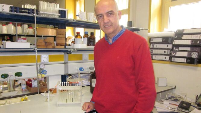 El profesor Fernando López Ortiz, responsable del grupo de investigación Química Orgánica y Organometálica.