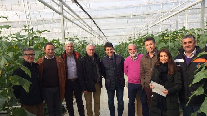 En el centro, Fernando Miranda, director general de Producciones y Mercados Agrarios, durante su visita a invernaderos de Almería el pasado diciembre.