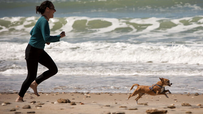 Una mujer corre con su perro sobre la arena de la playa.