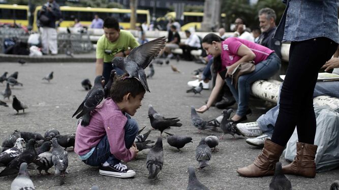 Un niño deja que las palomas se posen sobre su cuerpo.