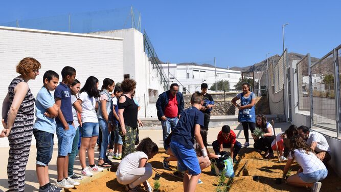 El IES Villa de Níjar adorna su entorno con nuevas plantas