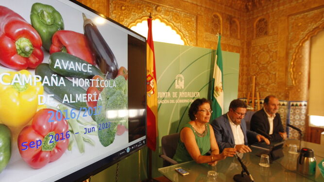 El consejero de Agricultura, Rodrigo Sánchez Haro, flanqueado por Gracia Fernández y José Manuel Ortiz, presentó el avance de la campaña 2016-2017.