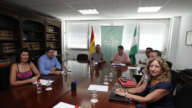 El delegado de Economía, responsables de Endesa en Almería y representantes municipales, en la reunión de ayer.