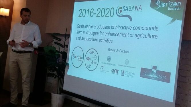 Presentación por BiorizonBiotech del proyecto H2020-Sabana en la ciudad de Kemorovo.