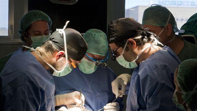 Los profesionales sanitarios en quirófano durante un trasplante de órganos