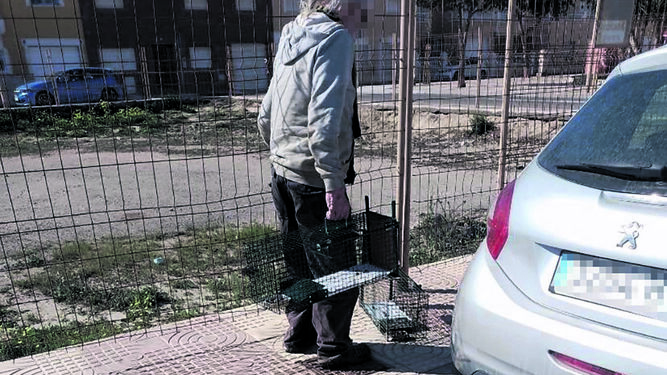 El hombre investigado recorriendo una calle con jaulas para gatos.