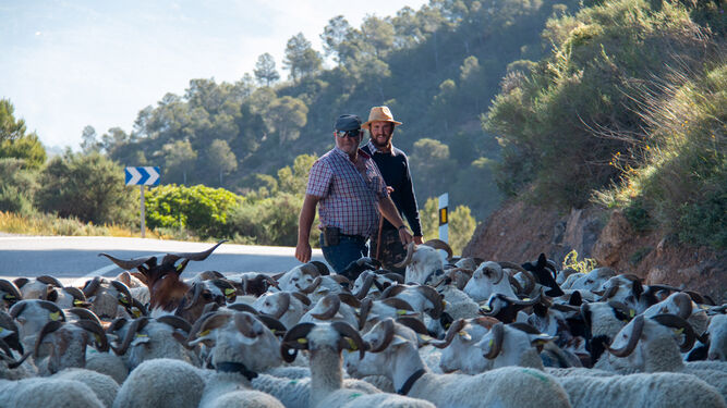Gabriel y Jorge junto a su rebaño de ovejas